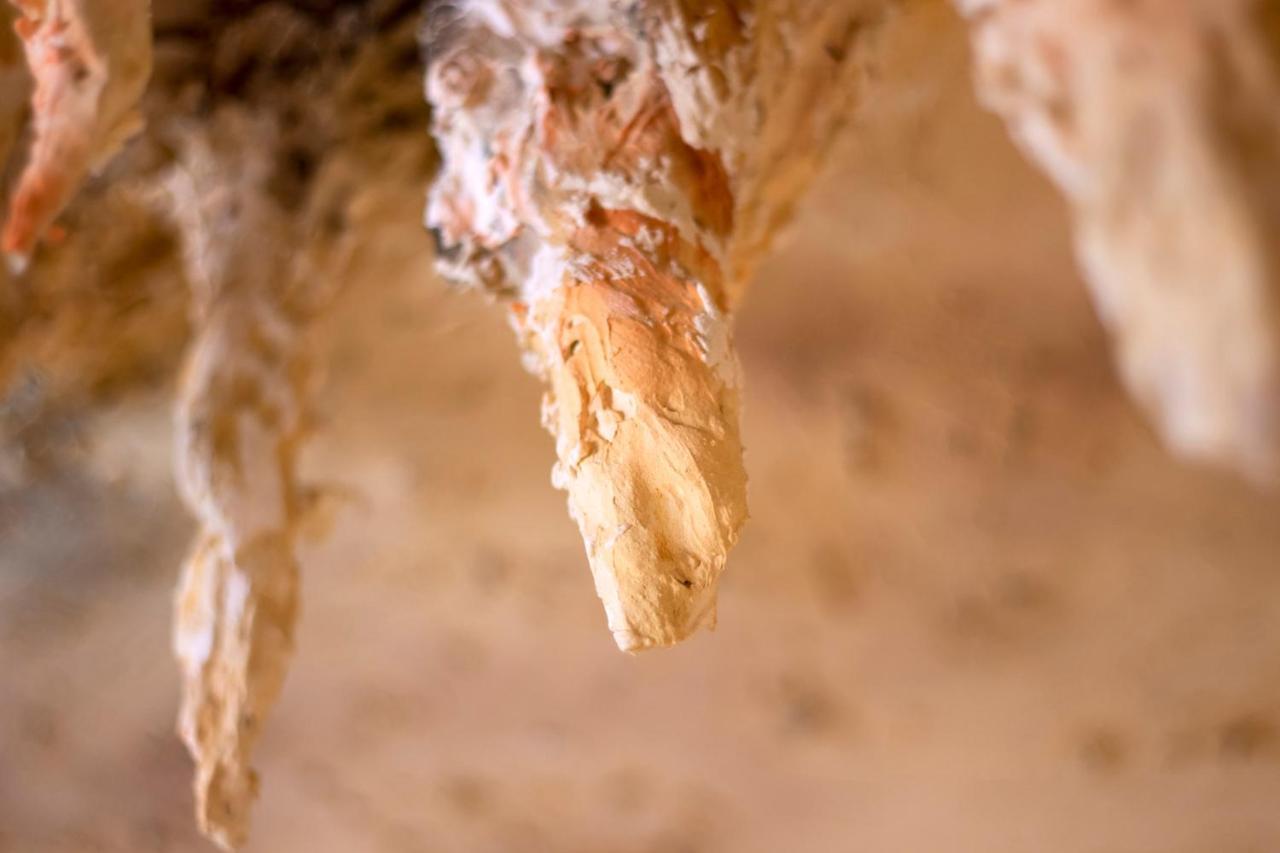La Grotte Insolite Sarlat Apartment Exterior photo